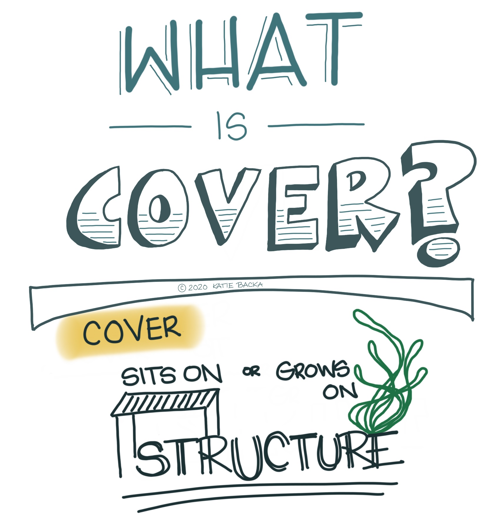 Script: What is Cover? Cover sits on or grows on structure