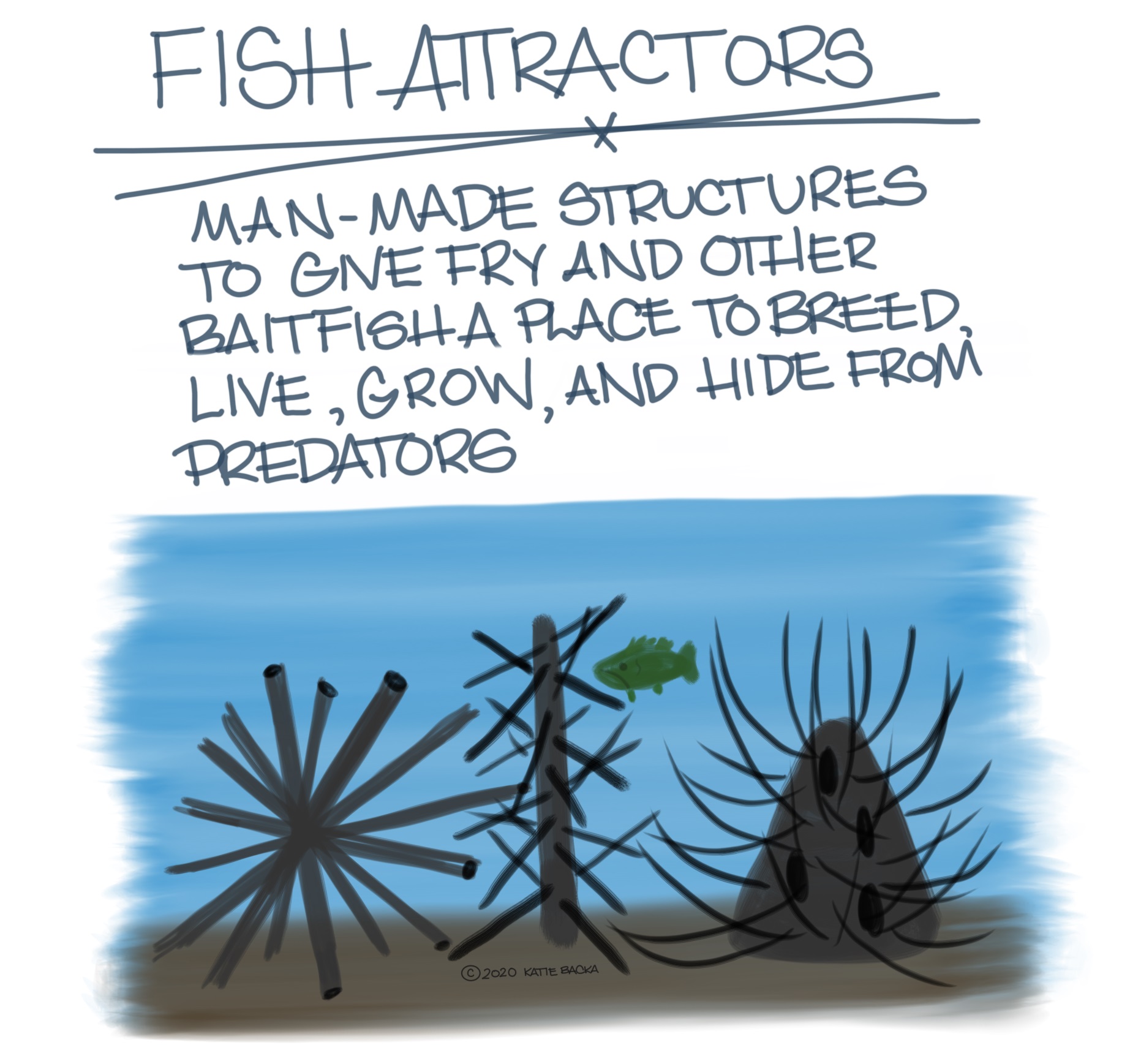 Script: Fish attractors, man-made structures to give fry and other baitfish a place to breed, live, grow, and hide from predators