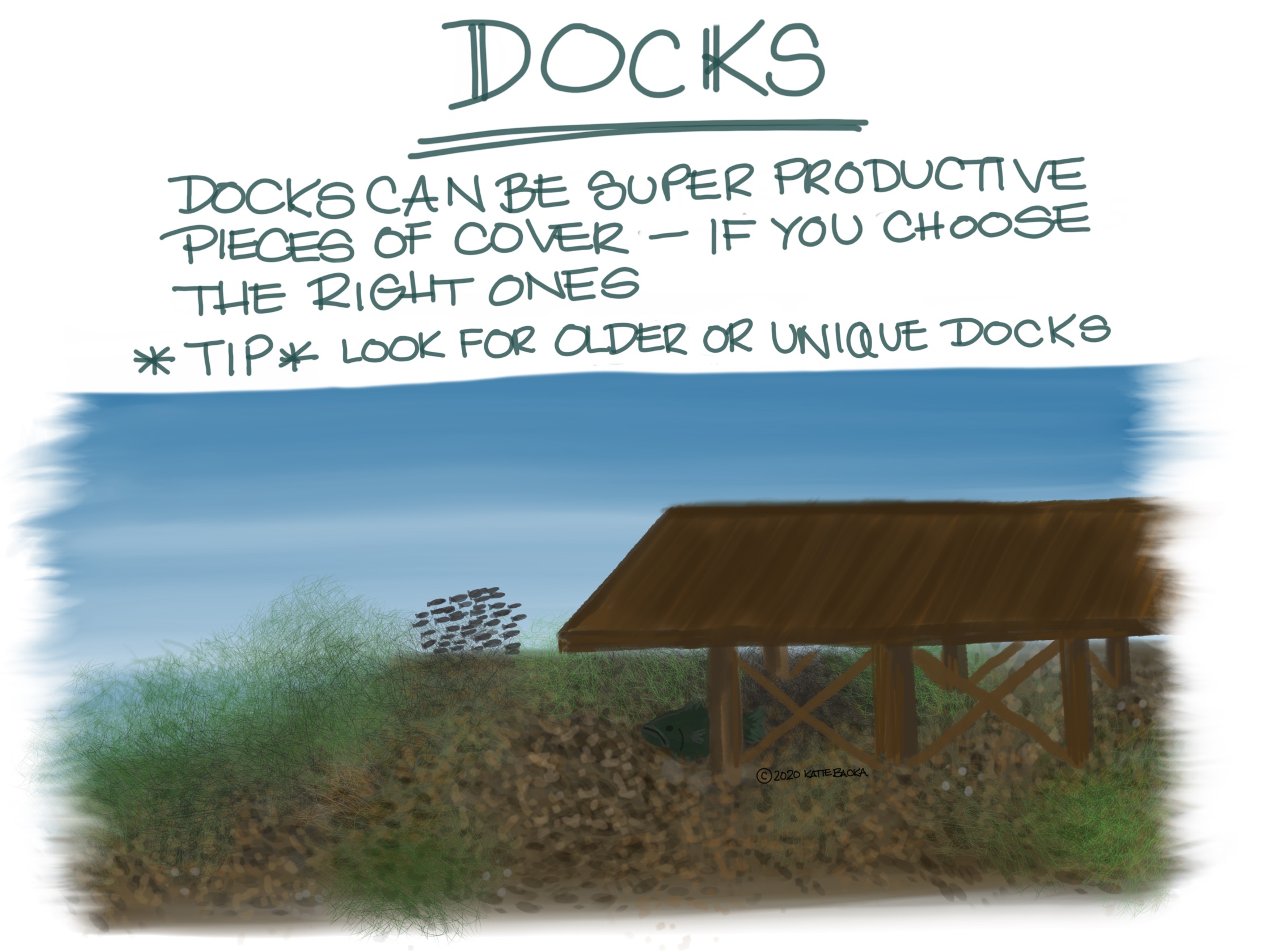 Script: Docks, docks can be super productive pieces of cover - if you choose the right ones *tip, look for older or unique docks
