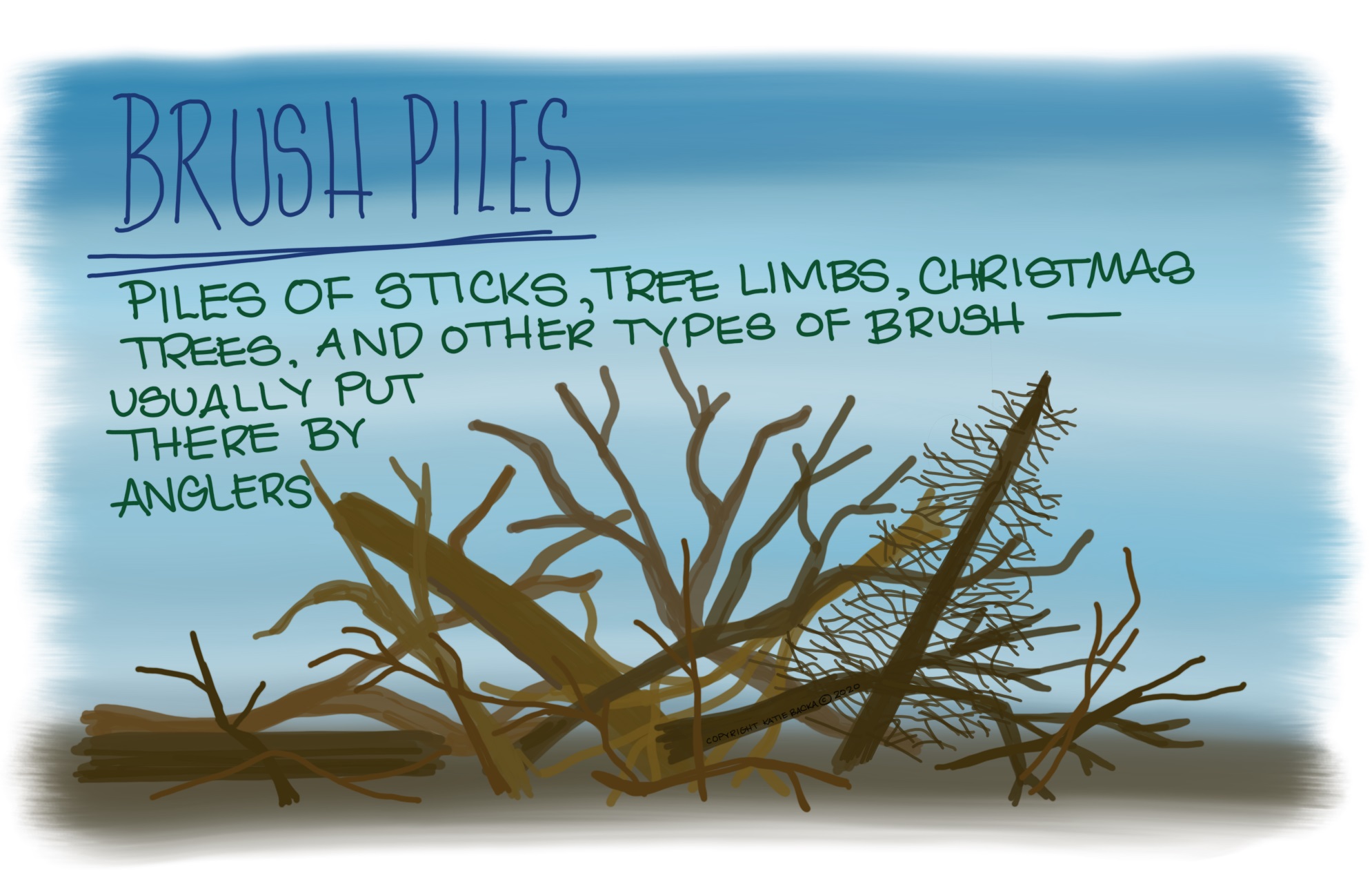 Script: Brush piles, piles of sticks, tree limbs, Christmas trees, and other types of brush - usually put there by anglers