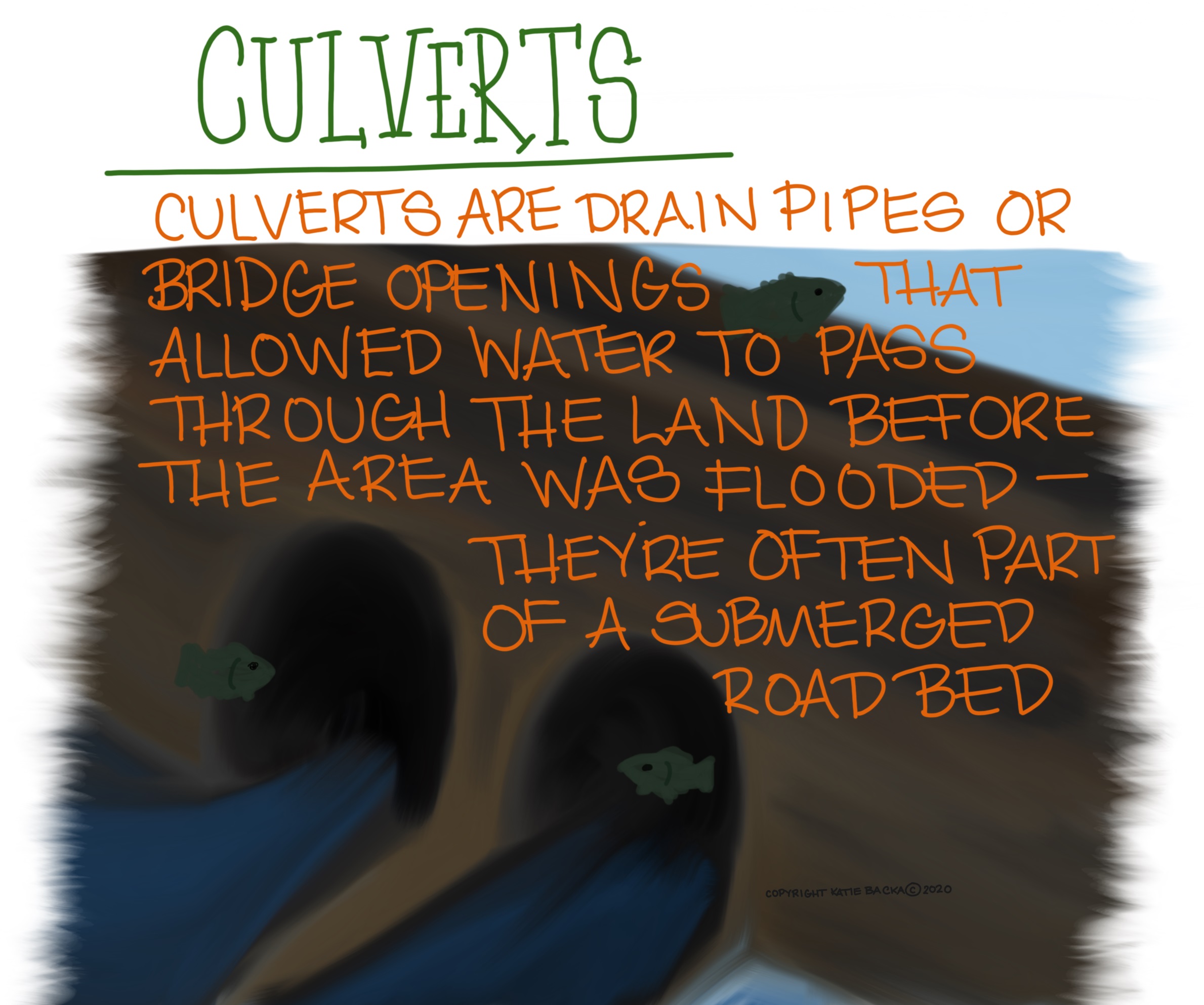 Script: Culverts - culverts are drain pipes or bridge openings that allowed water to pass through the land before the area was flooded - they're often part of a submerged road bed