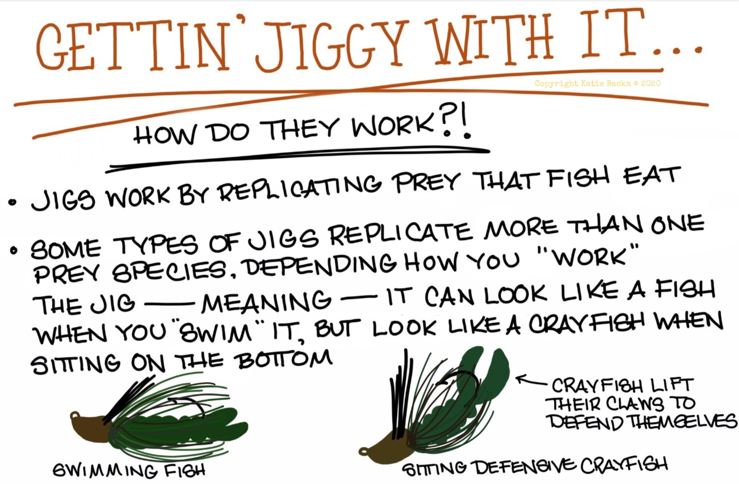 Infographic of how fishing jigs work