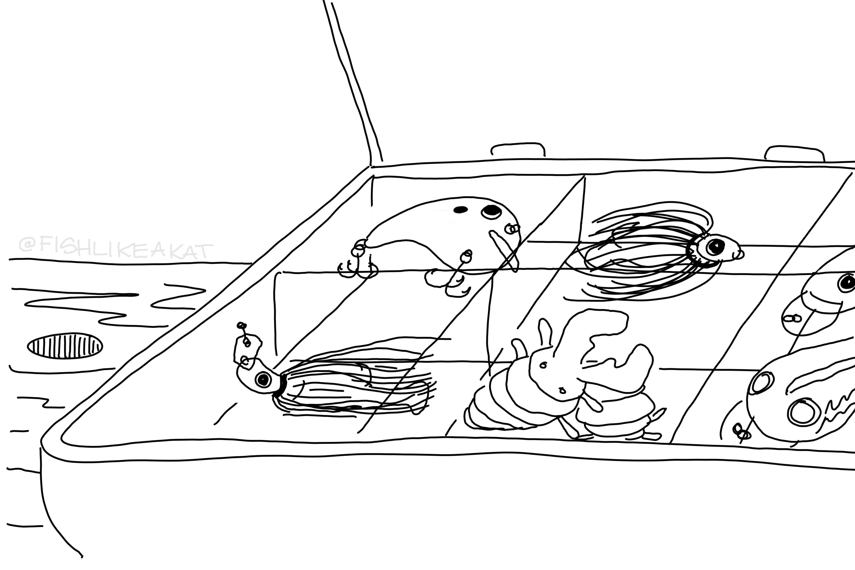 Coloring page with a closeup of a fishing tackle box with fishing lures