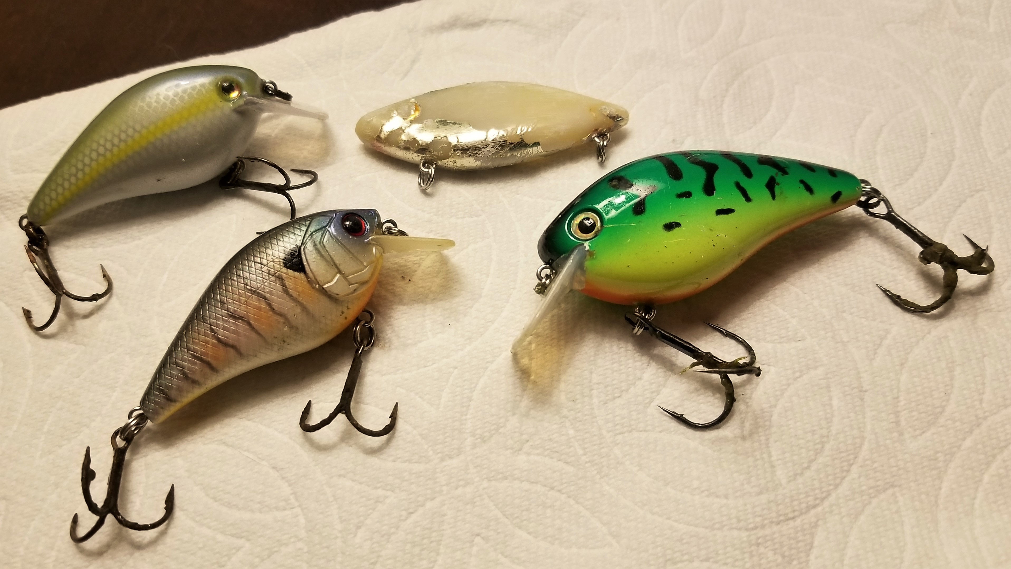 Crank baits drying on a paper towel