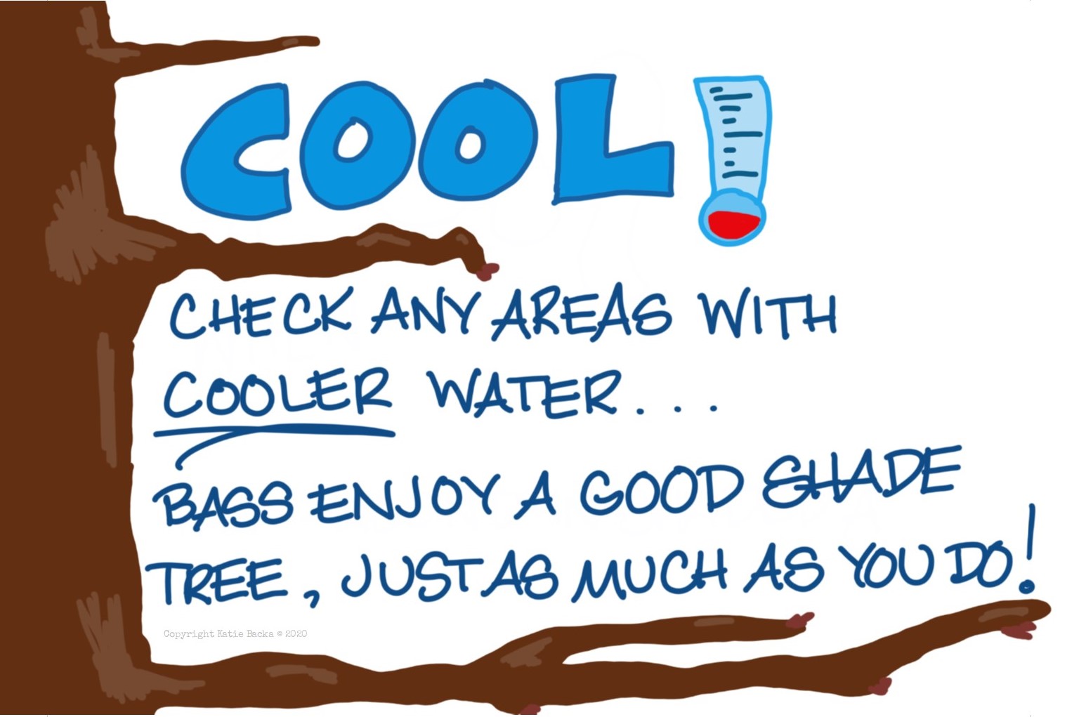text: Cool - check any areas with cooler water...bass enjoy a good shade tree, just as much as you do!