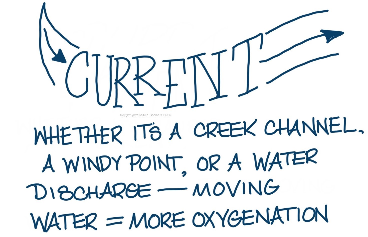 text: current: whether it's a creek channel, a windy poiunt, or a water discharge - moving water = more oxygenation