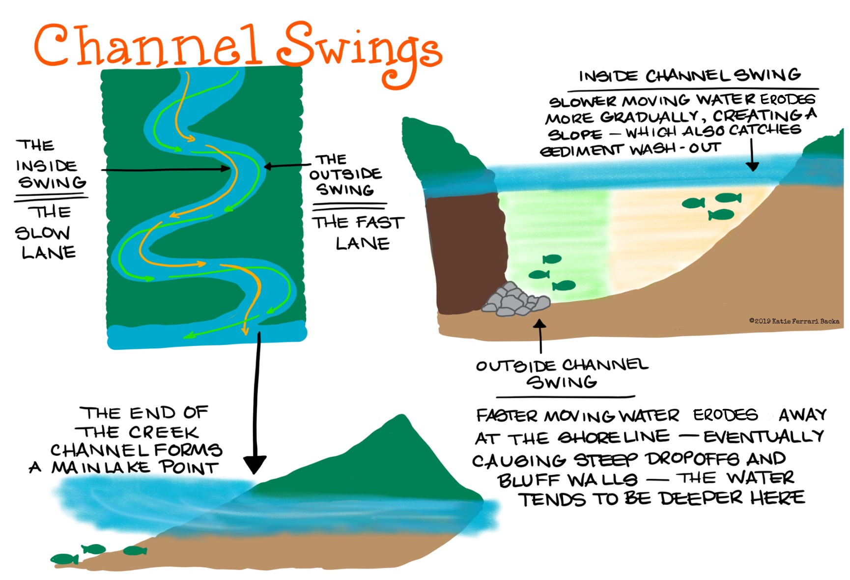 Written script around drawings of channel swings: Inside channel swing, the slow lane, slower moving water erodes more gradually, creating a slope, which also catches sediment washout. Outside channel swing, the fast lane, faster moving water erodes away at the shoreline, eventually causing steep drop-offs and bluff walls.  The water tends to be deeper here. The end of a creek channel forms a main lake point.