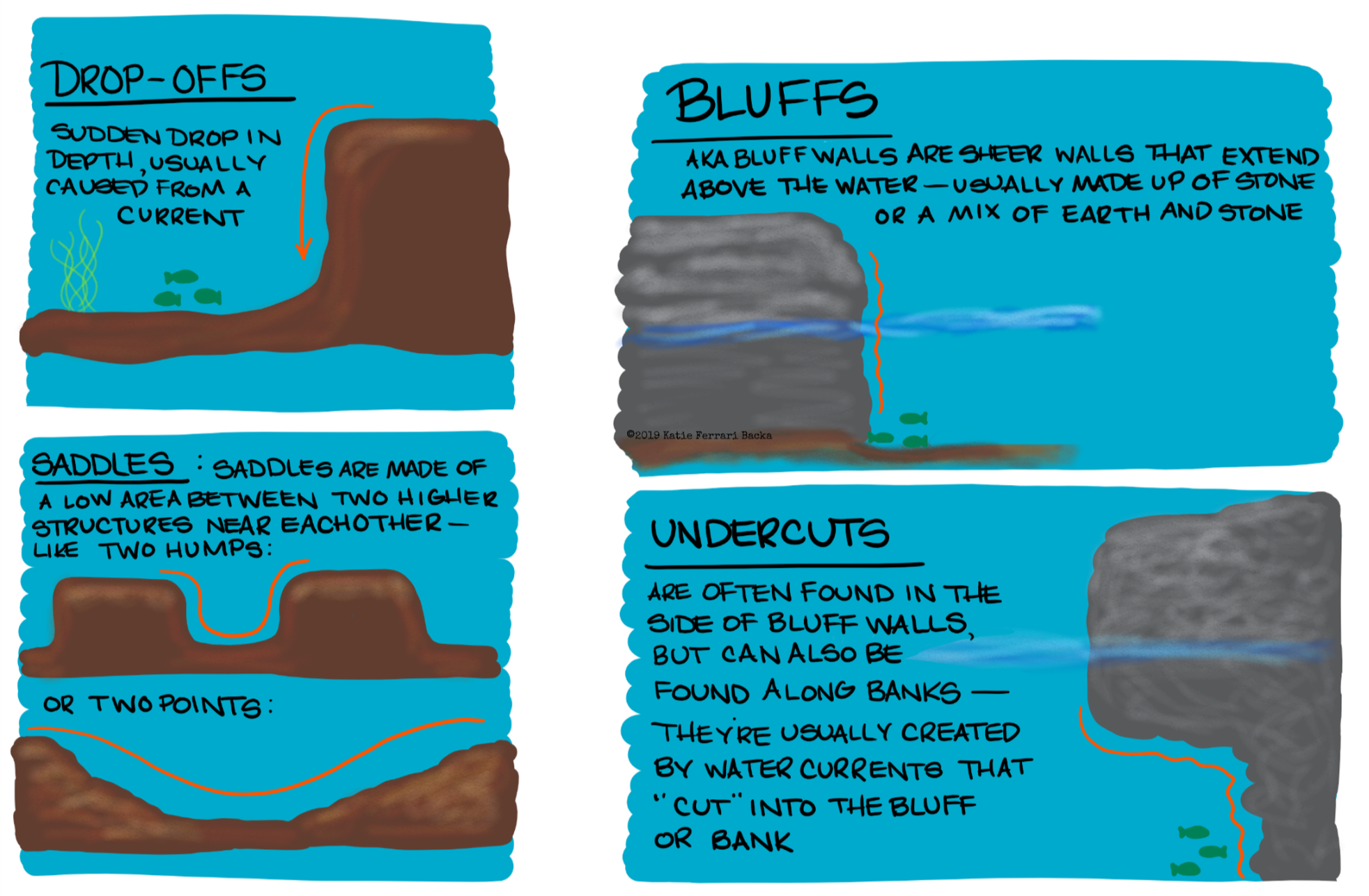 Written script around drawings of drop offs, bluufs, saddles, and undercuts. Drop offs, sudden drop in depth, usually caused from a current.  Bluffs, aka bluff walls are sheer walls that extend above the water, usually made up of stone or a mix of earth and stone. Saddles are made of a low area between two higher structures near each other, like two humps or two points. Undercuts are often found in the side of bluff walls but can also be found along banks. They're usually created by water currents that cut into the bluff or bank.