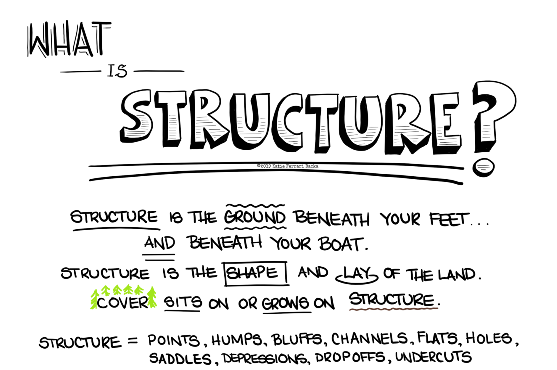 Written script: What is structure? Structure is the ground beneath your feet and beneath your boat. Structure is the shape and lay of the land. Cover sits on or grows on structure. Structure= Points, humps, bluffs, channels, flats, holes, saddles, depressions, drop offs, undercuts